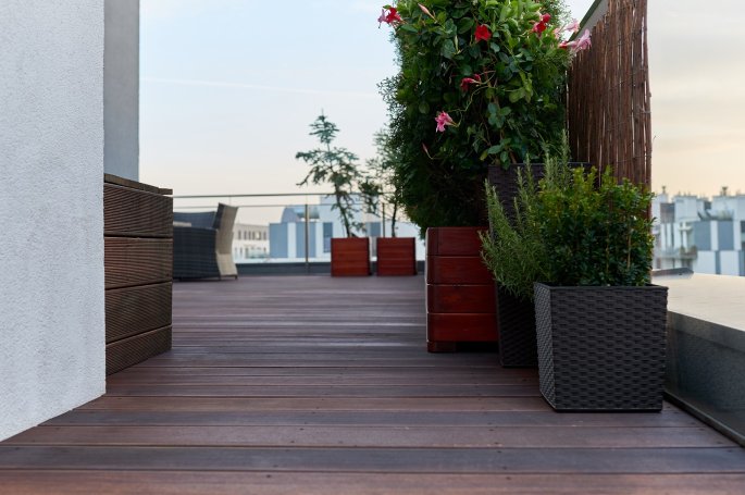 DESKA TARASOWA BANGKIRAI